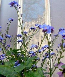 Mon Blog reprend du Service ^^ Mon Blog reprend du Service ^^