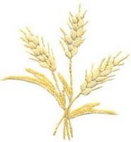 Entretient des cheveux secs Entretient des cheveux secs