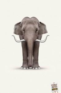 Un éléphant sous les traits de Dali