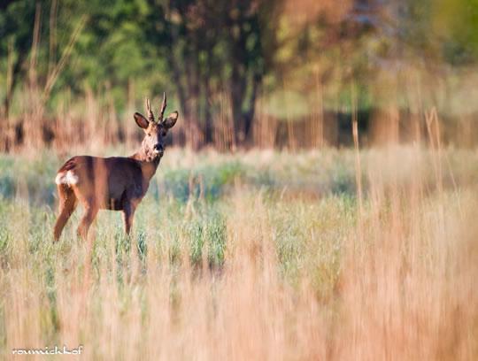Sandy Petiau Sélection Darqroom Pixfan #14
