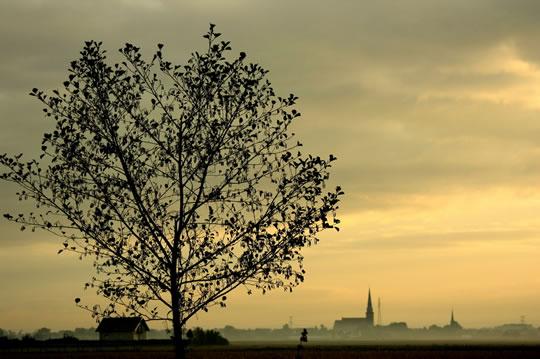 Maxime Cardinaux Sélection Darqroom Pixfan #14