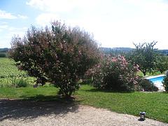 Les plus beaux jardins de France Beautiful garden, St Sabine, Dordogne, France