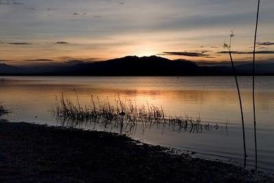 mardi c'est permis mardi c'est permis