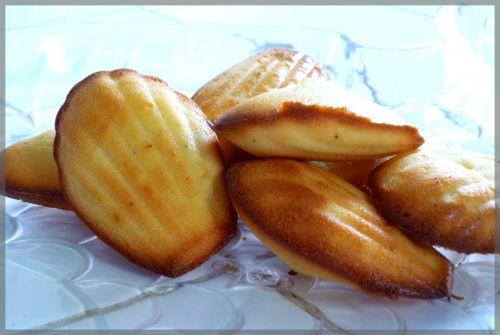 Mes Madeleines