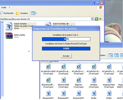 la technique d'installation des polices sous windows