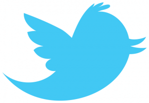 03830640 photo logo twitter bleu sur blanc 300x209 Twitter va proposer des pages pour les marques et les entreprises