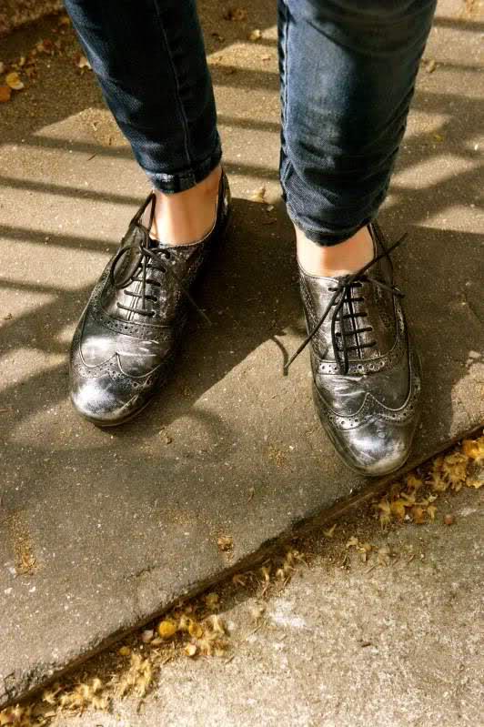 Tulipes ! Image and video hosting by TinyPic