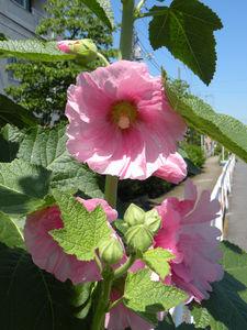 Japon_2010_1_676