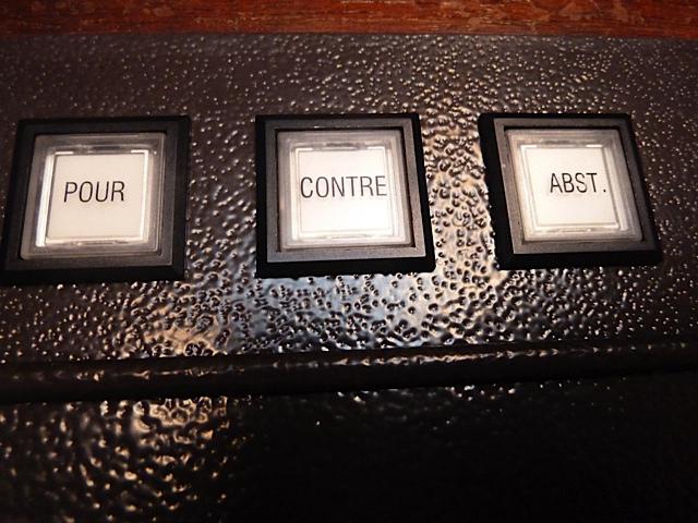 Place au vote... Les élus du Conseil Municipal Enfants à l’Assemblée Nationale