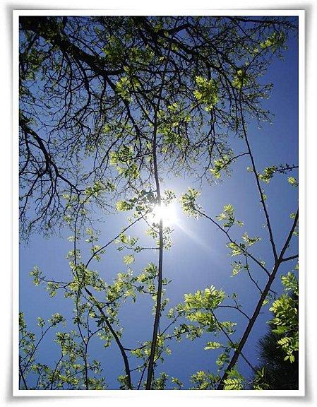 Comment joindre l'utile à l'agréable ... SOLEIL DE PROVENCE