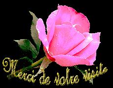 Poulet mchermel aux carottes et citron confit fleur