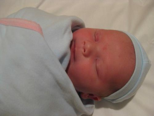 Edgar 2 blog Je suis là !!!