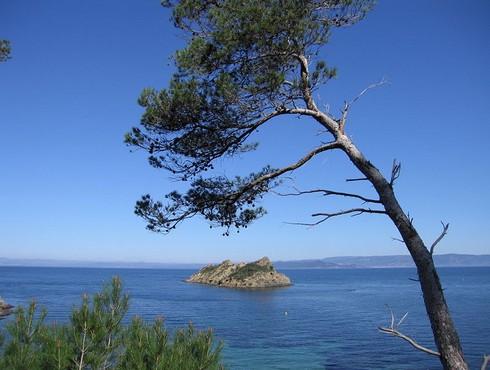 Une petite île entre Toulon et St-Tropez