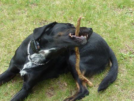 Un rien m'amuse ! 125659