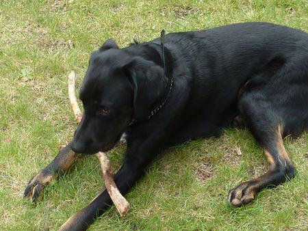 Un rien m'amuse ! 125716