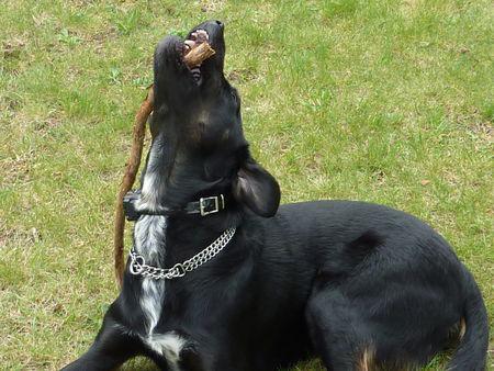 Un rien m'amuse ! 125648