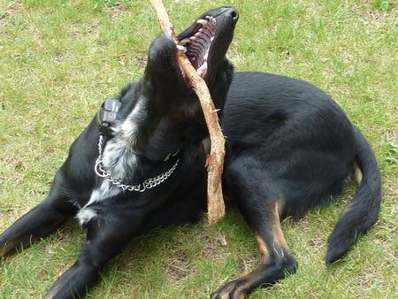 Un rien m'amuse ! 125706