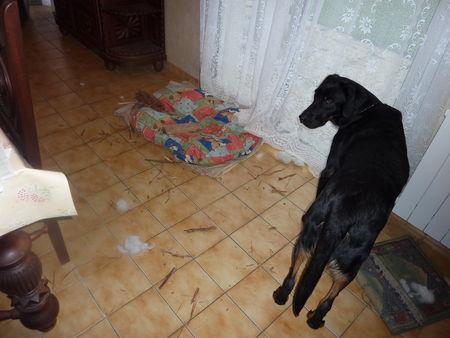 Un rien m'amuse ! P1090009