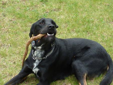 Un rien m'amuse ! 125652