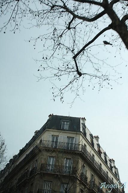 Séance photos. Paris.