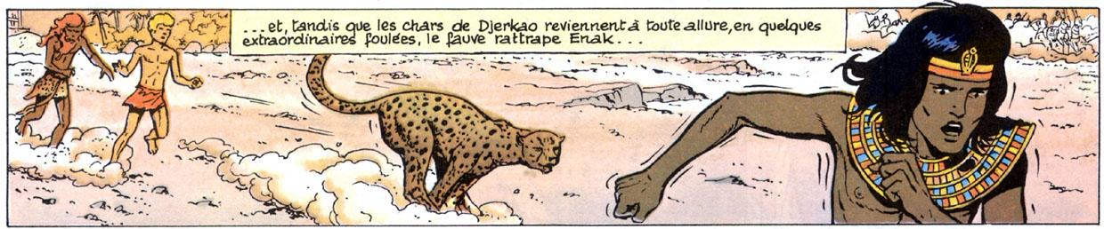 alix-prince-du-nil-guepard-rattrape-enak.1275987780.jpg