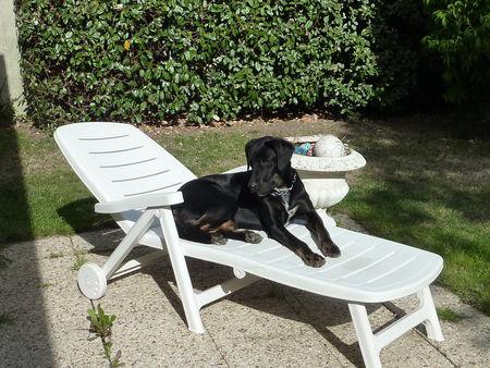 C'est pas de chance ! P1080344