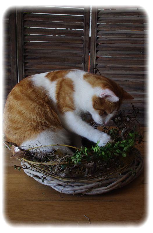 Je décore mon entrée... nid_014_modifi__1