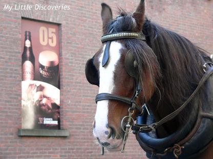 J comme... Jument Jument_Dublin__oct_2008