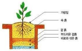 Le jour de la plantation des arbres. plantation