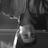 Twitter, avatar, usage et connerie
