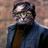 Twitter, avatar, usage et connerie