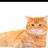 Twitter, avatar, usage et connerie