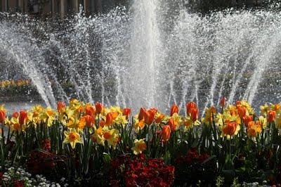 Printemps à Toul Printemps à Toul