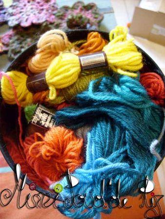 Petit bouts de laine S6301079