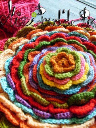 Petit bouts de laine S6301095