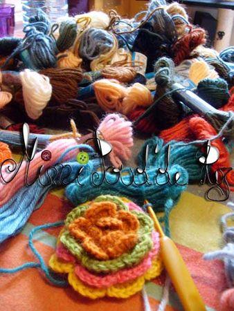 Petit bouts de laine S6301090