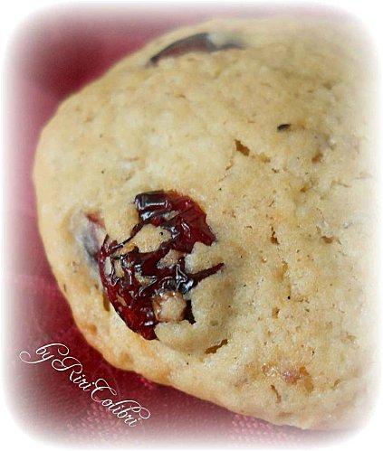 Cookies à la Vanille, à l'Avoine et aux Cranberries cookies-avoine-cranberriegp.jpg