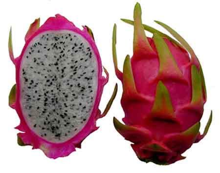 Mangez- moi - Eat me http://img641.imageshack.us/img641/6313/dragonfruit.jpg