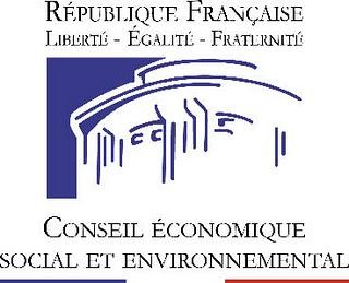 conseil economique social environnemental cese microfinance muhammad yunus 2011
