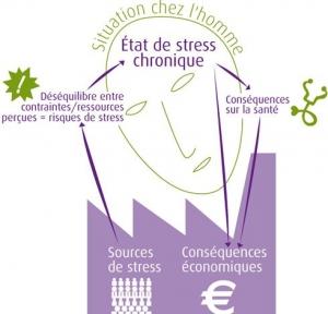 SANTÉ au TRAVAIL: 6 grands indicateurs psychosociaux pour évaluer les risques au travail – Collège d’expertise sur le suivi des risques psychosociaux au travail