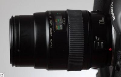 Test : l’objectif Canon EF 100 mm F 2,8 Macro