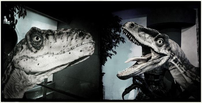 Il nous faudrait un plus gros appart. Il nous faudrait un plus gros appart.