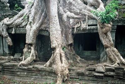 Siem Reap, 13 avril 1993 Siem Reap, 13 avril 1993