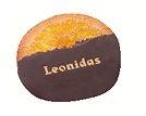 leonids