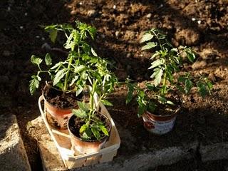 Un peu moins de couture Un peu moins de couture