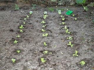 Un peu moins de couture Un peu moins de couture