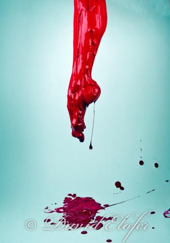 1367 Photos David Elofer © Interview photographe – David ELOFER