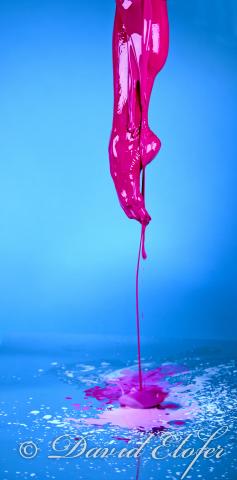 1942 Photos David Elofer ©_002 Interview photographe – David ELOFER