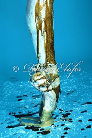 1004 Photos David Elofer ©_002 Interview photographe – David ELOFER