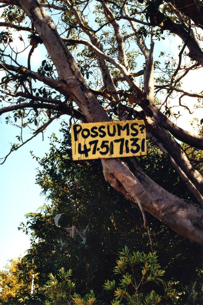 Soleil d'hiver Soleil d'hiver